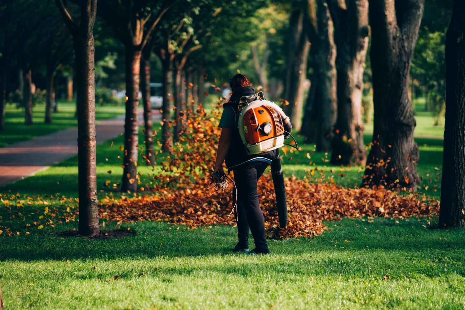 Best Emergency Storm Tree Removal  in Berwick, PA